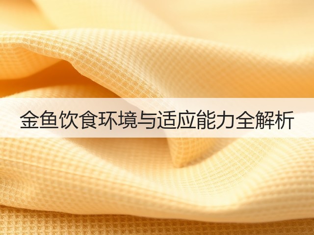 金鱼饮食环境与适应能力全解析(图1) 金鱼饮食环境与适应能力全解析(图1)
