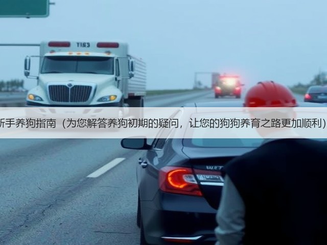 新手养狗指南(为您解答养狗初期的疑问,让您的狗狗养育之路更加顺利)(图2) 新手养狗指南(为您解答养狗初期的疑问,让您的狗狗养育之路更加顺利)(图2)