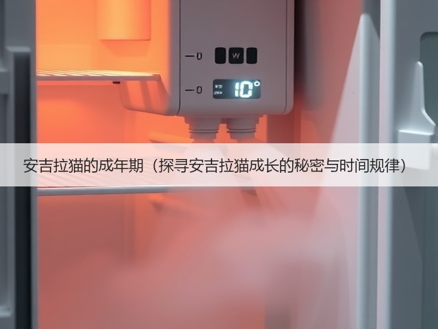 安吉拉猫的成年期(探寻安吉拉猫成长的秘密与时间规律)(图2) 安吉拉猫的成年期(探寻安吉拉猫成长的秘密与时间规律)(图2)