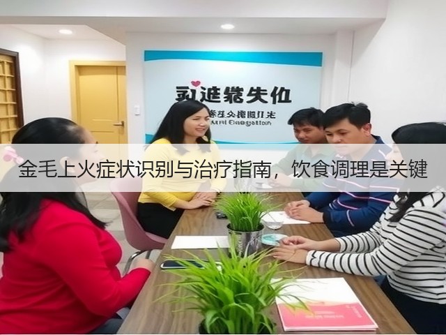 金毛上火症状识别与治疗指南,饮食调理是关键(图3) 金毛上火症状识别与治疗指南,饮食调理是关键(图3)