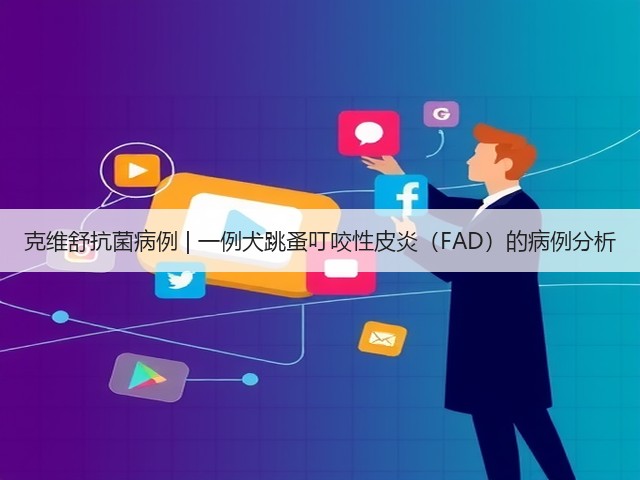 克维舒抗菌病例 | 一例犬跳蚤叮咬性皮炎(FAD)的病例分析(图2) 克维舒抗菌病例 | 一例犬跳蚤叮咬性皮炎(FAD)的病例分析(图2)
