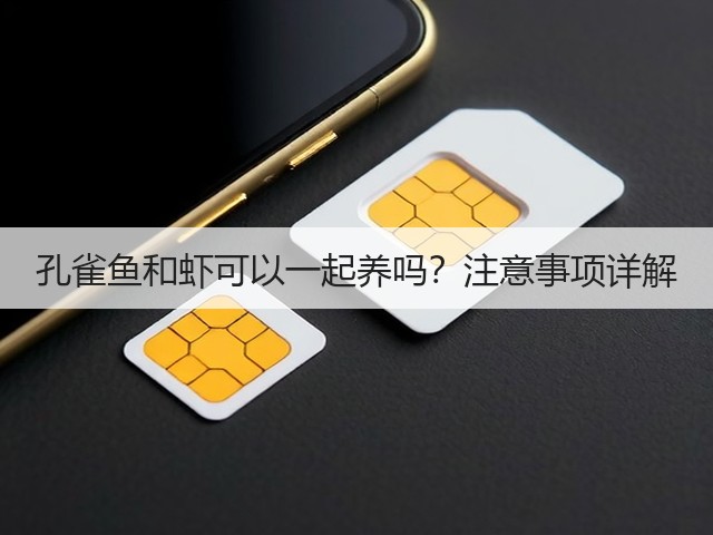 孔雀鱼和虾可以一起养吗？注意事项详解(图2)