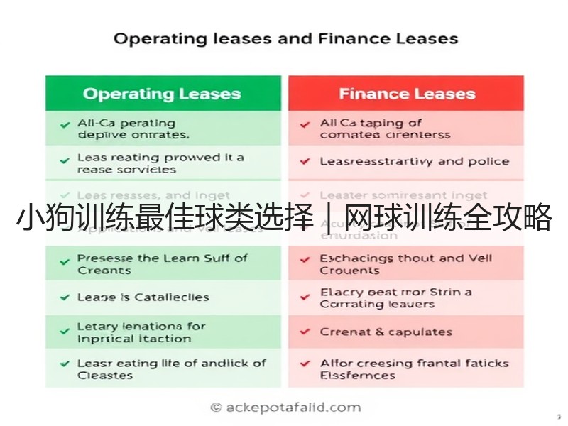 小狗训练最佳球类选择｜网球训练全攻略