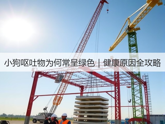小狗呕吐物为何常呈绿色|健康原因全攻略(图2) 小狗呕吐物为何常呈绿色|健康原因全攻略(图2)