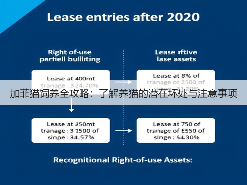 加菲猫饲养全攻略：了解养猫的潜在坏处与注意事项