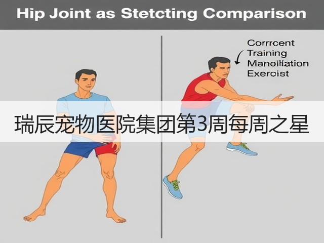 瑞辰宠物医院集团第3周每周之星(图1)