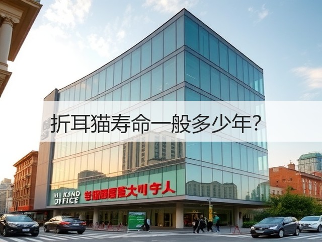 折耳猫寿命一般多少年?(图1) 折耳猫寿命一般多少年?(图1)