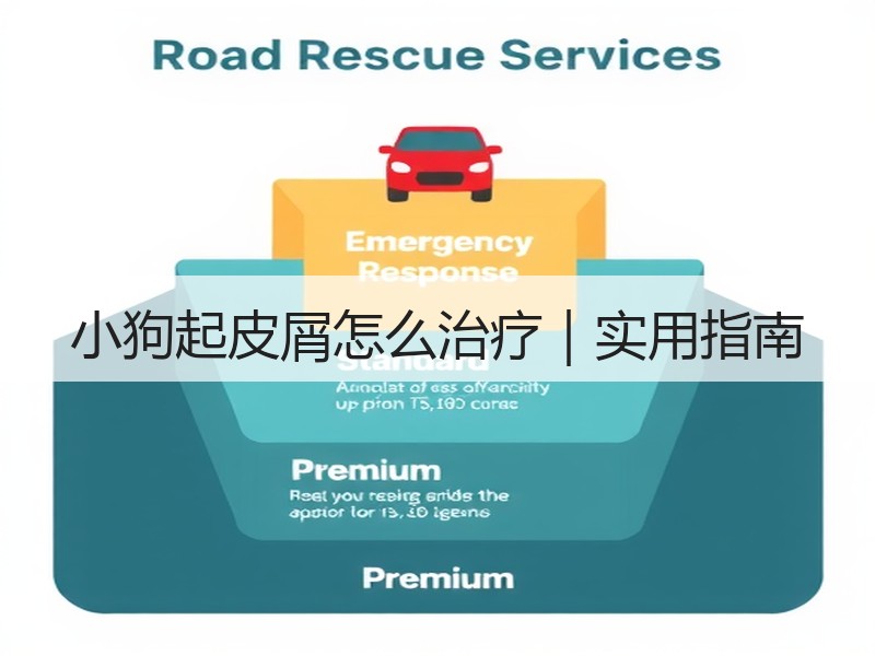 小狗起皮屑怎么治疗｜实用指南