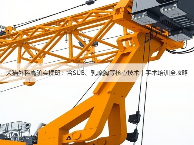 犬猫外科高阶实操班:含SUB、乳糜胸等核心技术|手术培训全攻略(图1) 犬猫外科高阶实操班:含SUB、乳糜胸等核心技术|手术培训全攻略(图1)