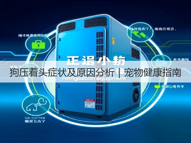 狗压着头症状及原因分析|宠物健康指南(图3) 狗压着头症状及原因分析|宠物健康指南(图3)