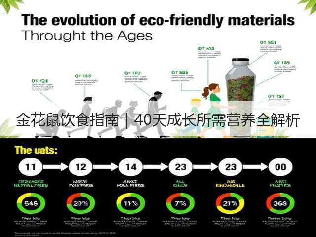 金花鼠饮食指南|40天成长所需营养全解析(图3) 金花鼠饮食指南|40天成长所需营养全解析(图3)
