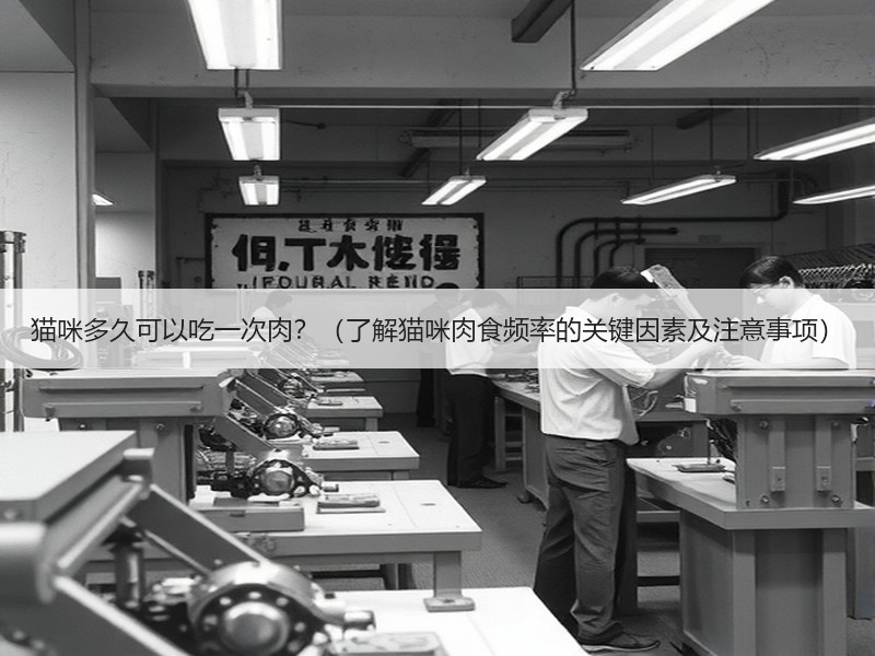 猫咪多久可以吃一次肉？（了解猫咪肉食频率的关键因素及注意事项）