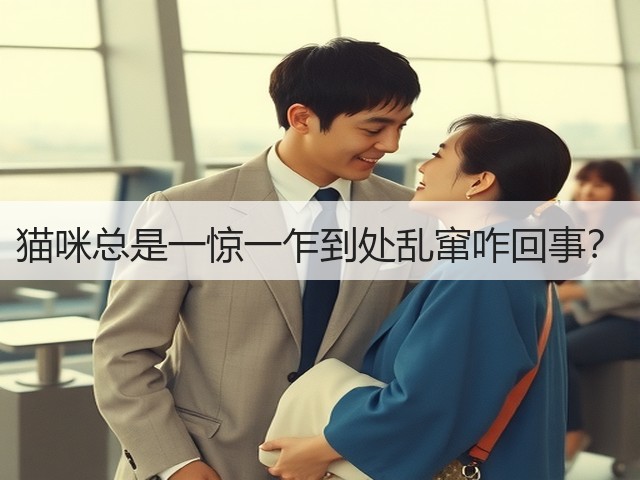 猫咪总是一惊一乍到处乱窜咋回事?(图2) 猫咪总是一惊一乍到处乱窜咋回事?(图2)