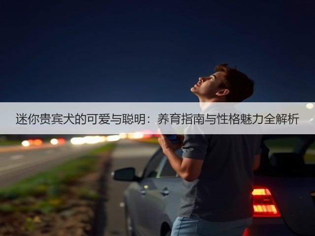 迷你贵宾犬的可爱与聪明:养育指南与性格魅力全解析(图2) 迷你贵宾犬的可爱与聪明:养育指南与性格魅力全解析(图2)
