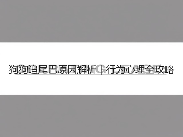 狗狗追尾巴原因解析|行为心理全攻略(图3) 狗狗追尾巴原因解析|行为心理全攻略(图3)