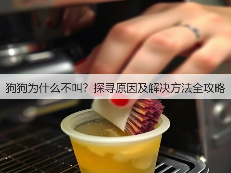 狗狗为什么不叫？探寻原因及解决方法全攻略