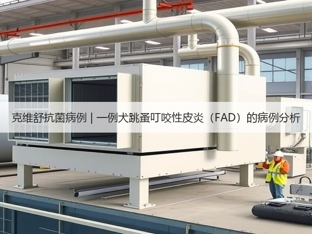 克维舒抗菌病例 | 一例犬跳蚤叮咬性皮炎(FAD)的病例分析(图2) 克维舒抗菌病例 | 一例犬跳蚤叮咬性皮炎(FAD)的病例分析(图2)