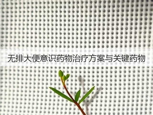 无排大便意识药物治疗方案与关键药物(图2) 无排大便意识药物治疗方案与关键药物(图2)