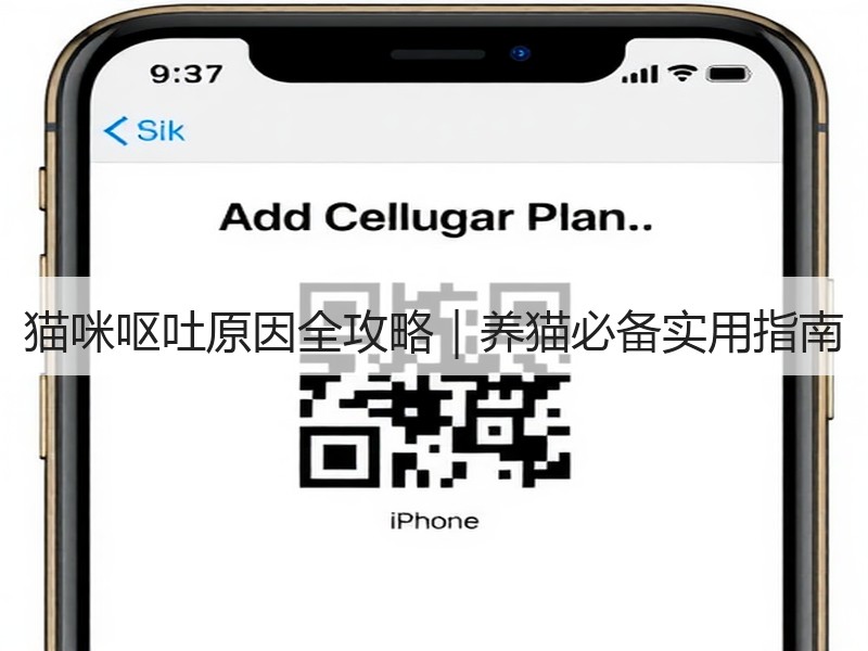 猫咪呕吐原因全攻略｜养猫必备实用指南
