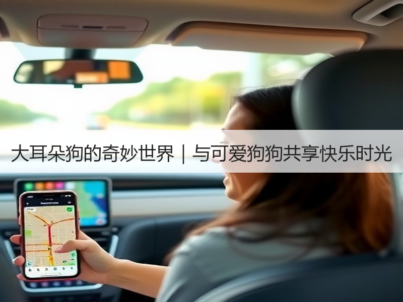 大耳朵狗的奇妙世界｜与可爱狗狗共享快乐时光