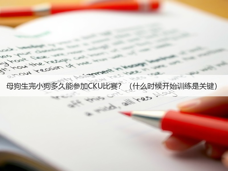 母狗生完小狗多久能参加CKU比赛？（什么时候开始训练是关键）