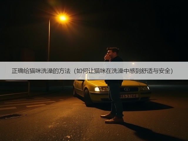 正确给猫咪洗澡的方法(如何让猫咪在洗澡中感到舒适与安全)(图2) 正确给猫咪洗澡的方法(如何让猫咪在洗澡中感到舒适与安全)(图2)