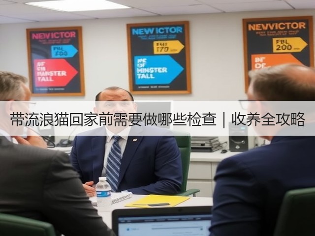 带流浪猫回家前需要做哪些检查|收养全攻略(图3) 带流浪猫回家前需要做哪些检查|收养全攻略(图3)