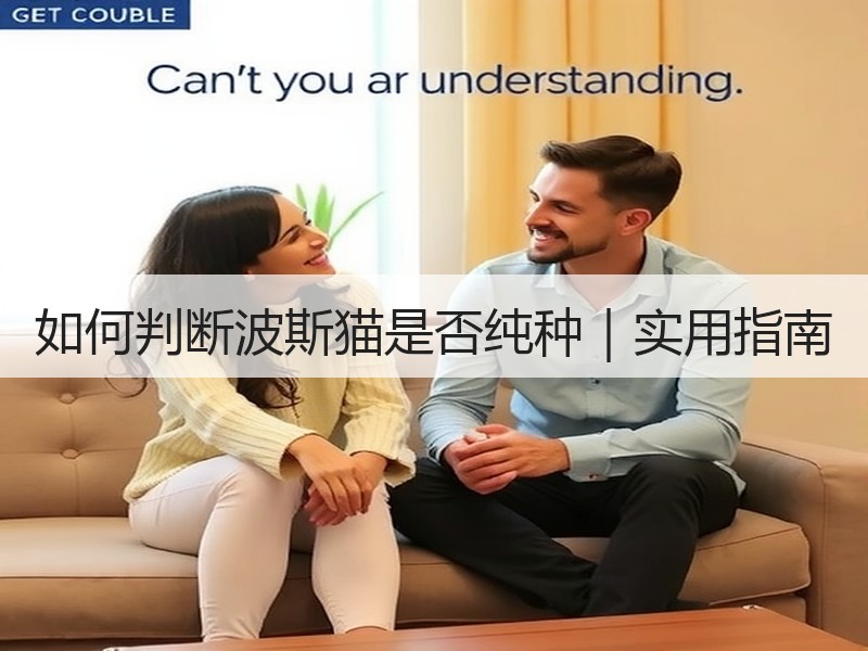 如何判断波斯猫是否纯种｜实用指南