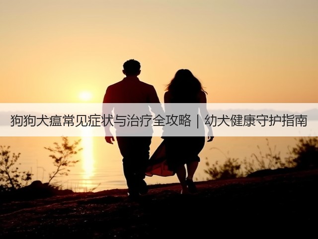 狗狗犬瘟常见症状与治疗全攻略|幼犬健康守护指南(图2) 狗狗犬瘟常见症状与治疗全攻略|幼犬健康守护指南(图2)