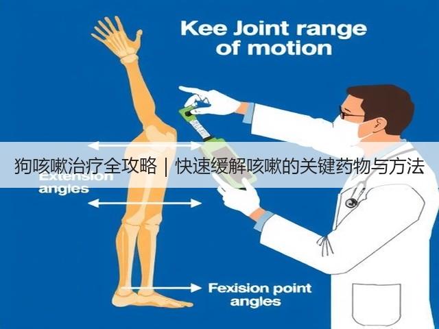 狗咳嗽治疗全攻略|快速缓解咳嗽的关键药物与方法(图1) 狗咳嗽治疗全攻略|快速缓解咳嗽的关键药物与方法(图1)