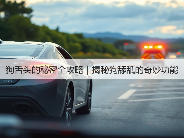 狗舌头的秘密全攻略|揭秘狗舔舐的奇妙功能(图2) 狗舌头的秘密全攻略|揭秘狗舔舐的奇妙功能(图2)