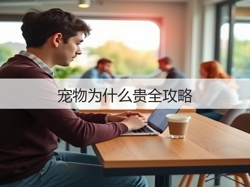 宠物为什么贵全攻略