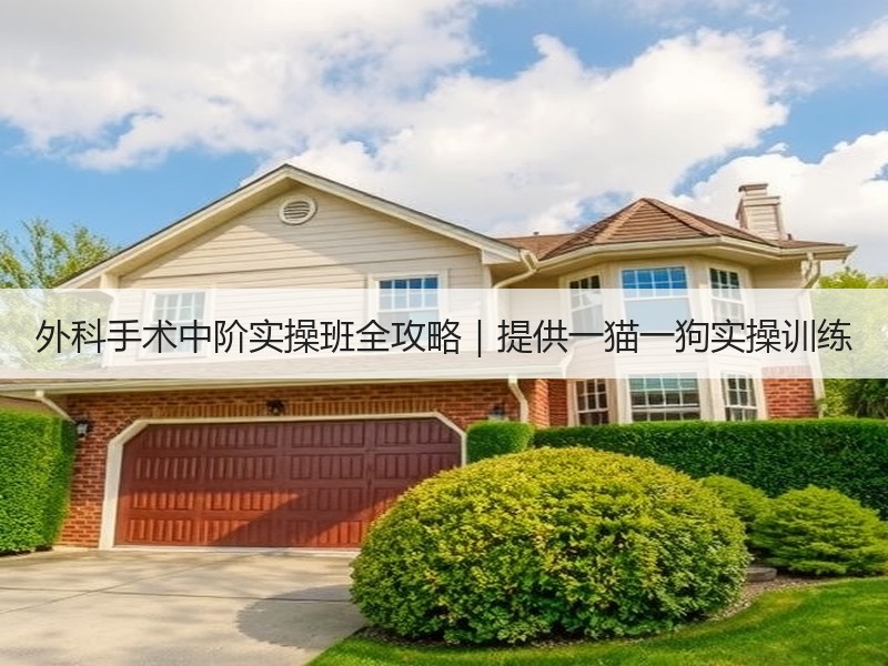 外科手术中阶实操班全攻略｜提供一猫一狗实操训练
