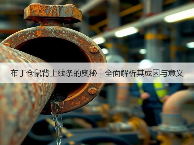 布丁仓鼠背上线条的奥秘｜全面解析其成因与意义(图2)