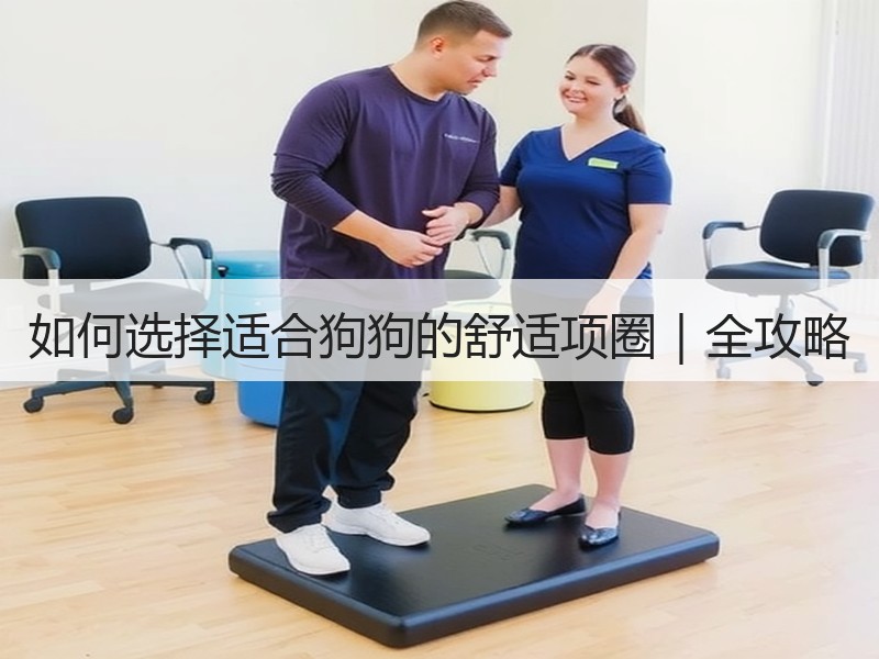 如何选择适合狗狗的舒适项圈｜全攻略