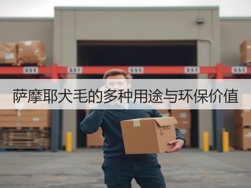 萨摩耶犬毛的多种用途与环保价值