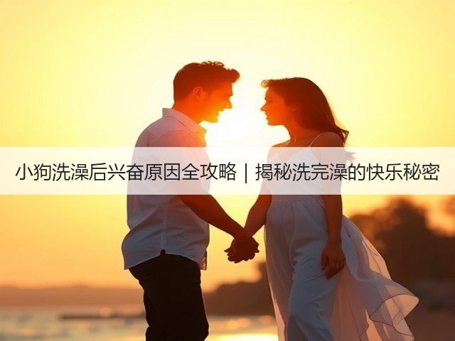 小狗洗澡后兴奋原因全攻略|揭秘洗完澡的快乐秘密(图2) 小狗洗澡后兴奋原因全攻略|揭秘洗完澡的快乐秘密(图2)