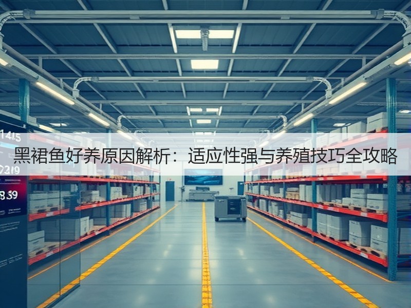 黑裙鱼好养原因解析：适应性强与养殖技巧全攻略