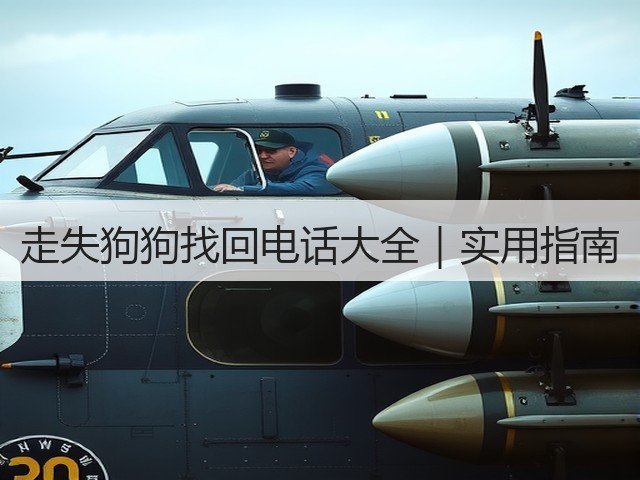 走失狗狗找回电话大全|实用指南(图3) 走失狗狗找回电话大全|实用指南(图3)