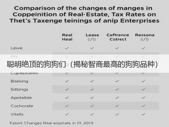 聪明绝顶的狗狗们(揭秘智商最高的狗狗品种)(图1) 聪明绝顶的狗狗们(揭秘智商最高的狗狗品种)(图1)
