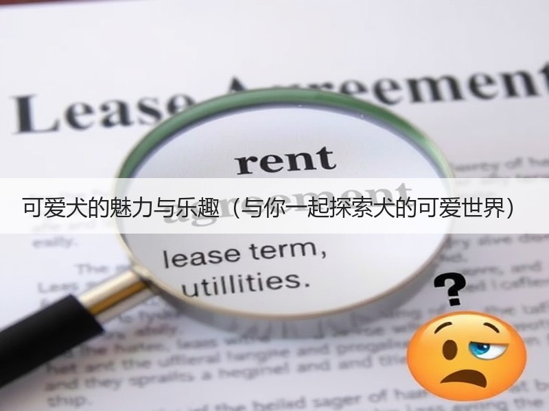 可爱犬的魅力与乐趣（与你一起探索犬的可爱世界）