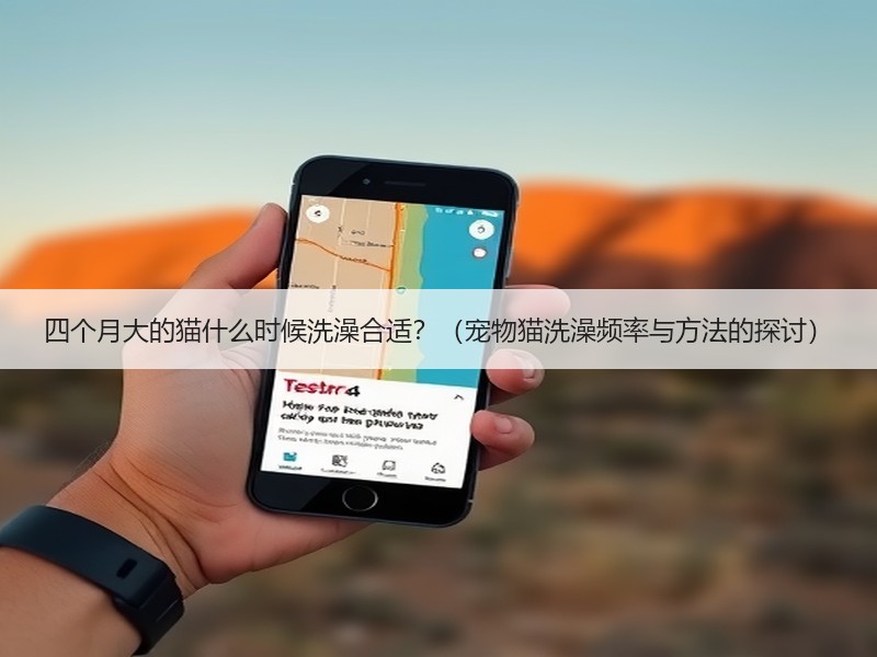 四个月大的猫什么时候洗澡合适？（宠物猫洗澡频率与方法的探讨）