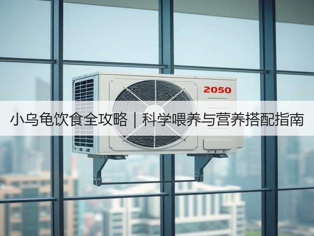 小乌龟饮食全攻略|科学喂养与营养搭配指南(图3) 小乌龟饮食全攻略|科学喂养与营养搭配指南(图3)