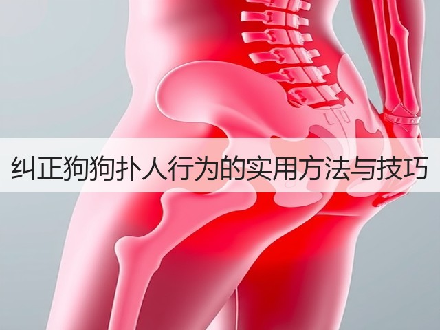 纠正狗狗扑人行为的实用方法与技巧(图1)