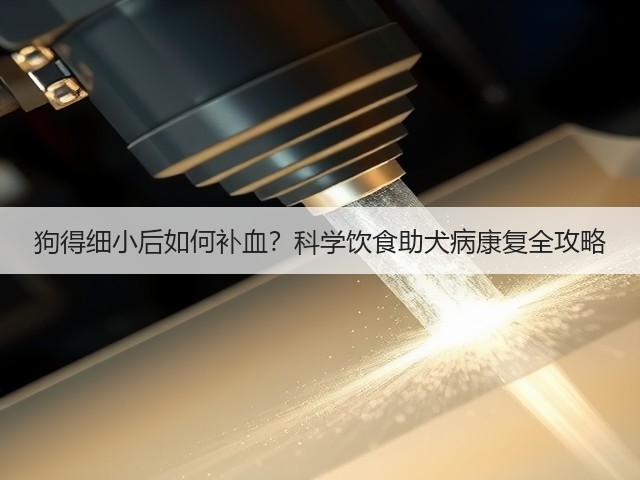 狗得细小后如何补血?科学饮食助犬病康复全攻略(图3) 狗得细小后如何补血?科学饮食助犬病康复全攻略(图3)