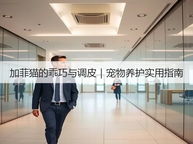 加菲猫的乖巧与调皮｜宠物养护实用指南(图3)