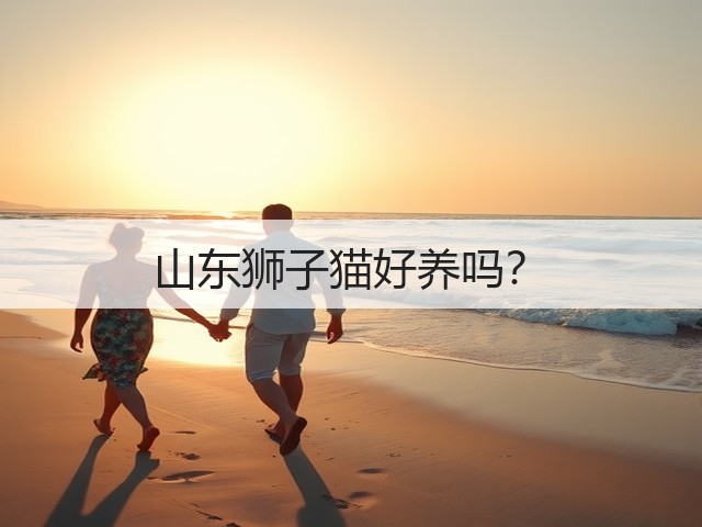 山东狮子猫好养吗?(图2) 山东狮子猫好养吗?(图2)