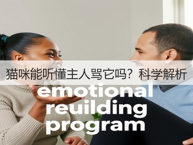 猫咪能听懂主人骂它吗?科学解析(图3) 猫咪能听懂主人骂它吗?科学解析(图3)