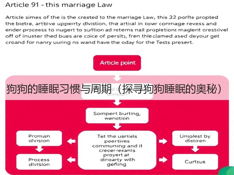 狗狗的睡眠习惯与周期（探寻狗狗睡眠的奥秘）
