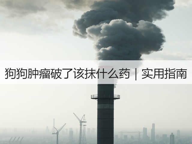 狗狗肿瘤破了该抹什么药|实用指南(图3) 狗狗肿瘤破了该抹什么药|实用指南(图3)